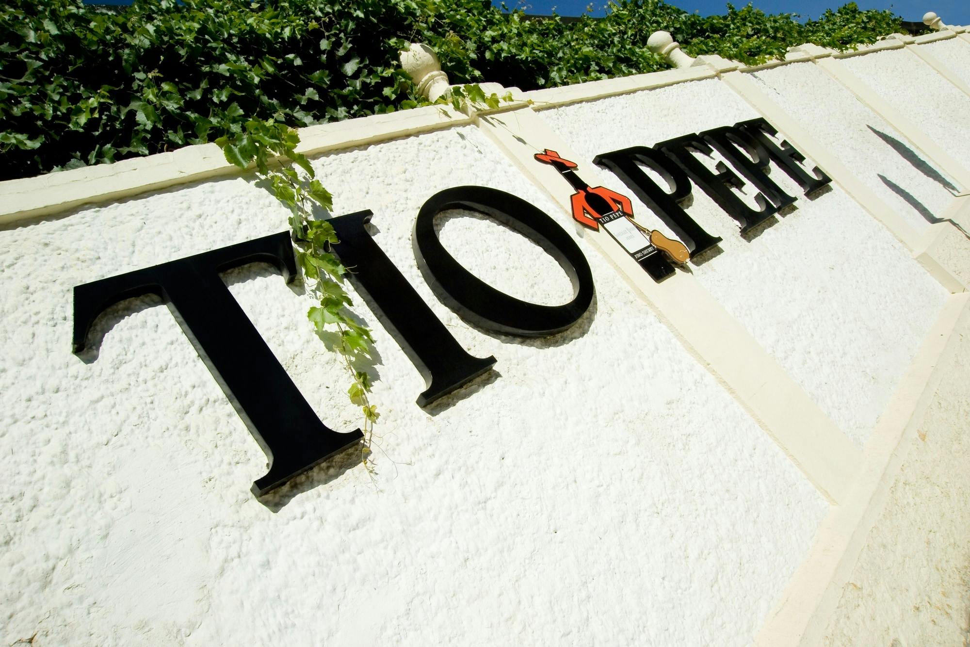 Wycieczka po bodedze González Byass i degustacja sherry