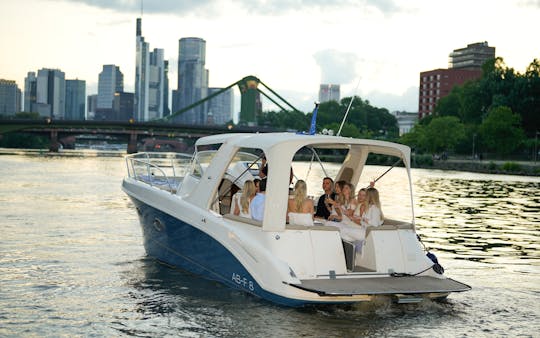 Private boat tour for up to 10 people in Frankfurt with skyline view