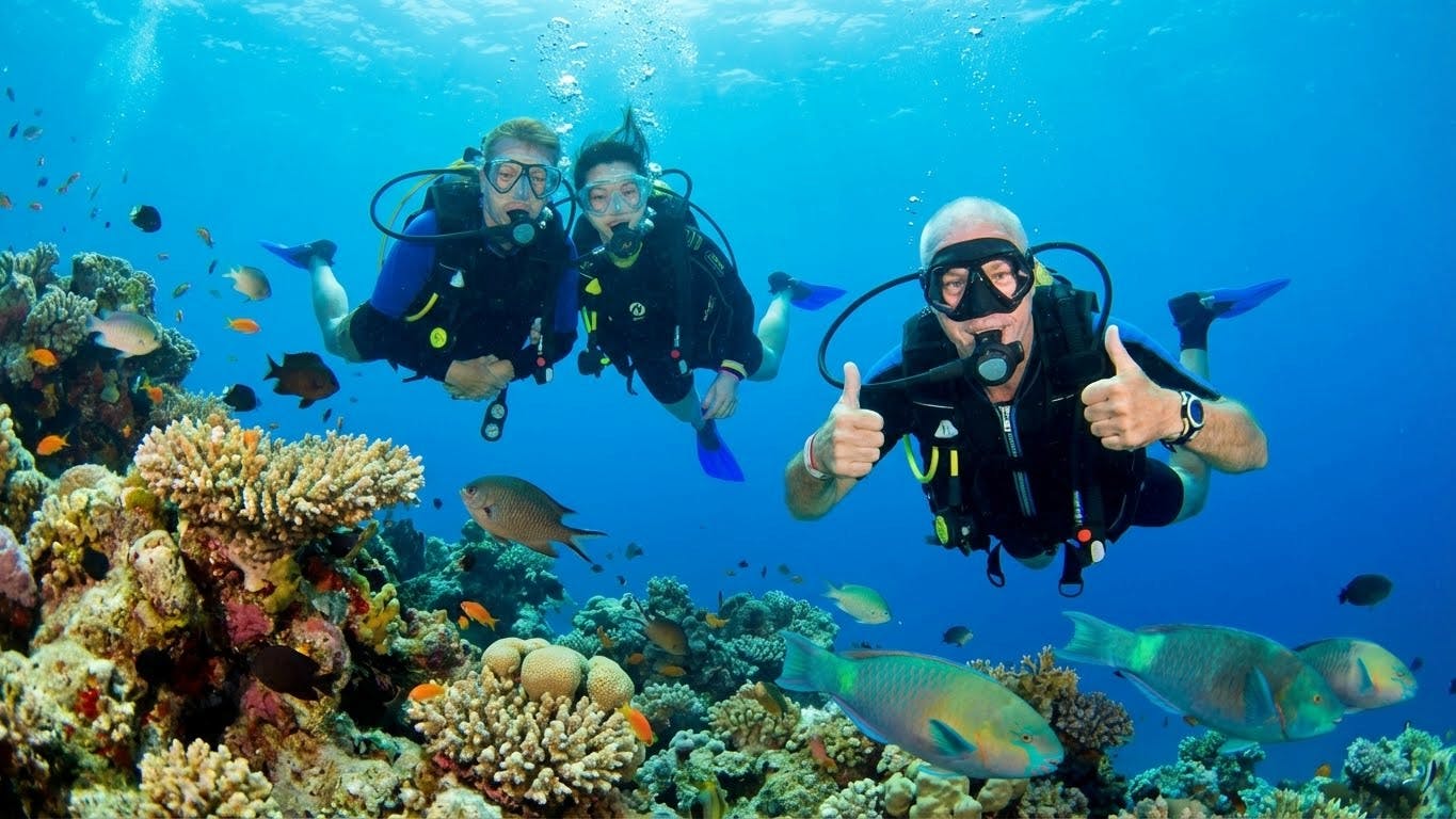 Taucherlebnisse am Roten Meer in Hurghada mit Transfer