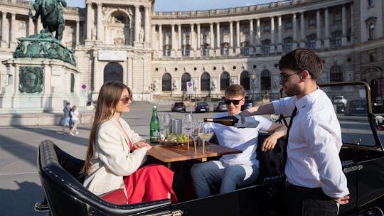 Vienna private evening tour on a vintage car with dinner