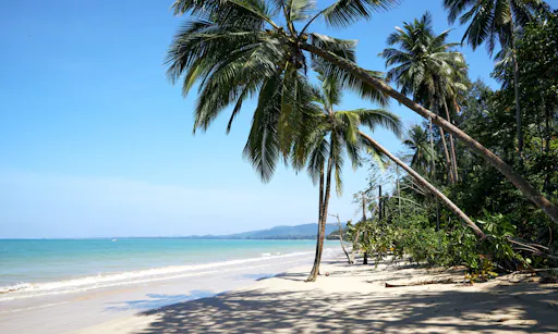Island-hopping catamaran tour from Phuket with dinner at sunset
