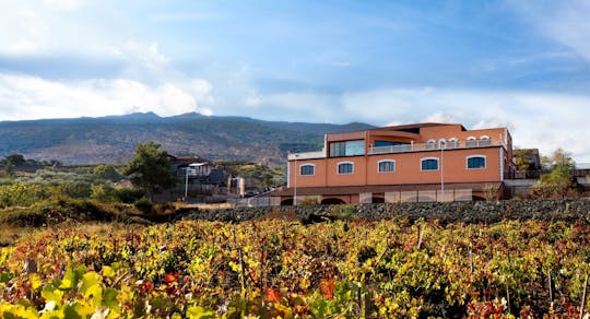 Mount Etna wine-tasting experience