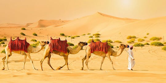 Morning desert safari with dune bashing, sandboarding, and camel ride