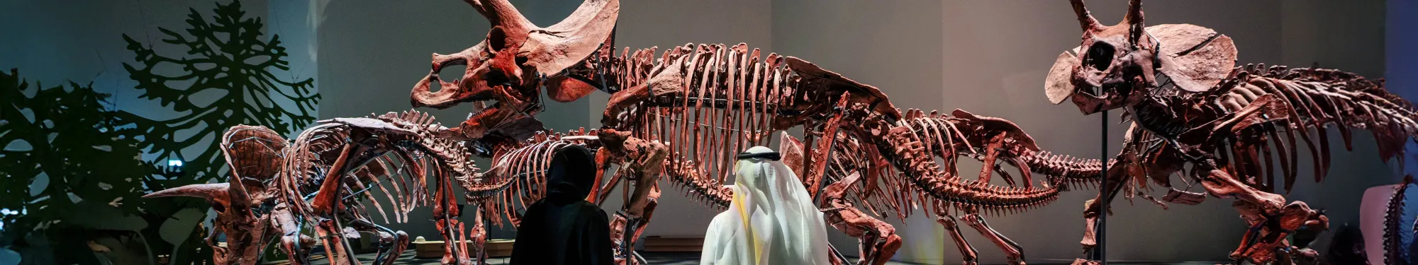 Naturhistorisk museum i Abu Dhabi