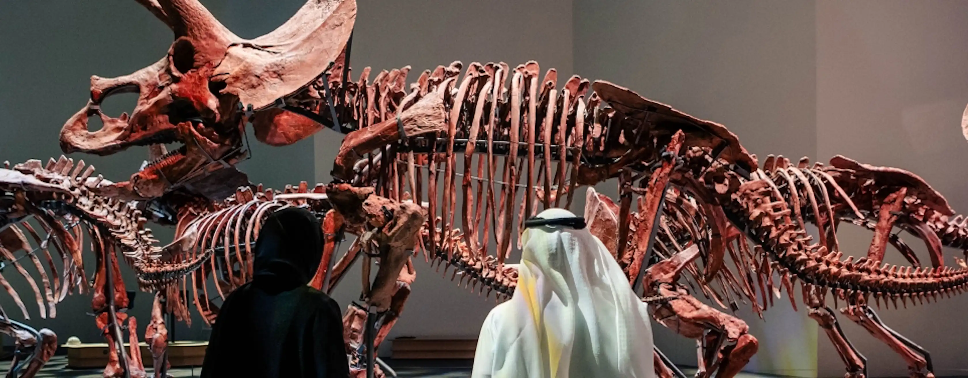 Bilhetes e entradas Museu de História Natural de Abu Dhabi
