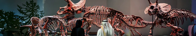 Naturhistoriska museet Abu Dhabi