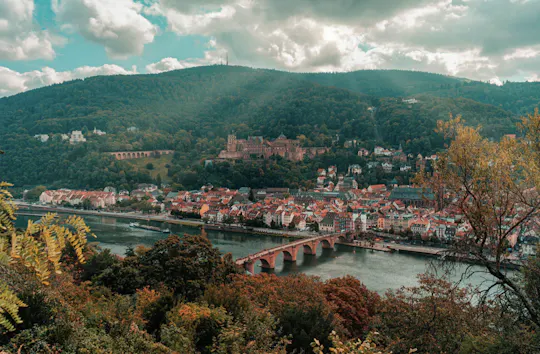 Excursão de um dia a Heidelberg com um guia local