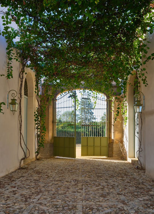 Sevilla Bodegas Góngora zintuiglijke rondleiding met proeverij