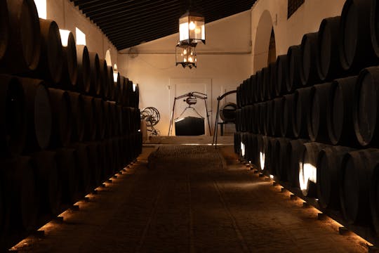 Sevilla Bodegas Góngora premium tour met proeverij