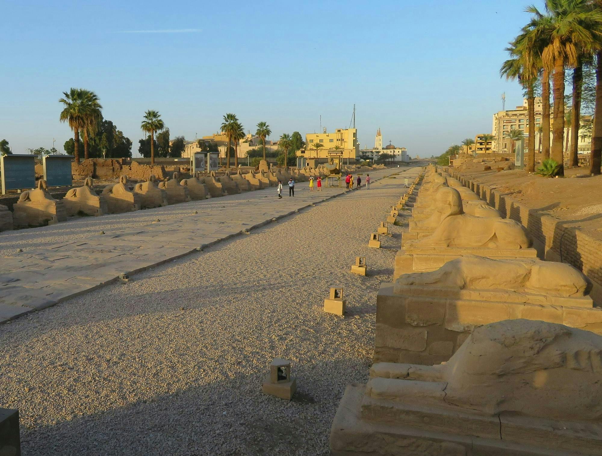 Luxor by air with museums, Valley of the Kings and cruise from Sharm