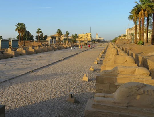 Luxor by air with museums, Valley of the Kings and cruise from Sharm