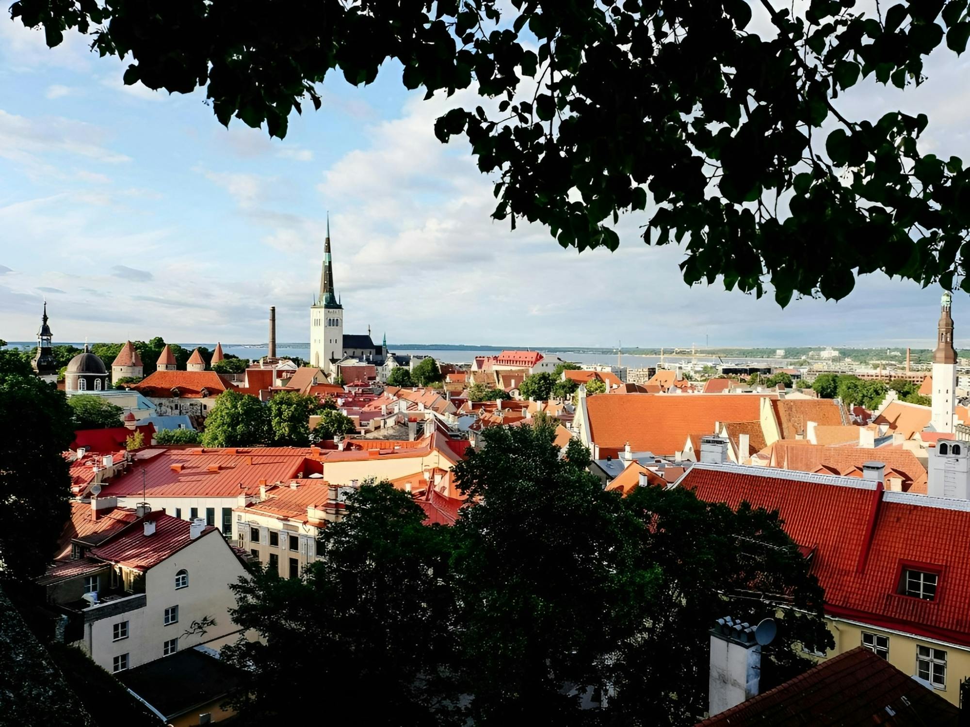 Navigate Tallinn's Insta-perfect spots with a local