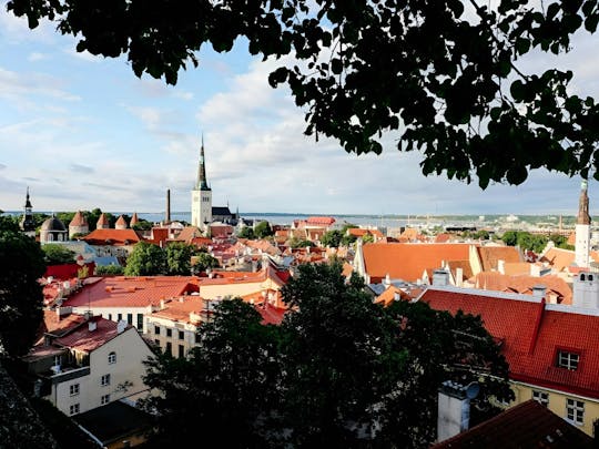 Navigate Tallinn's Insta-perfect spots with a local