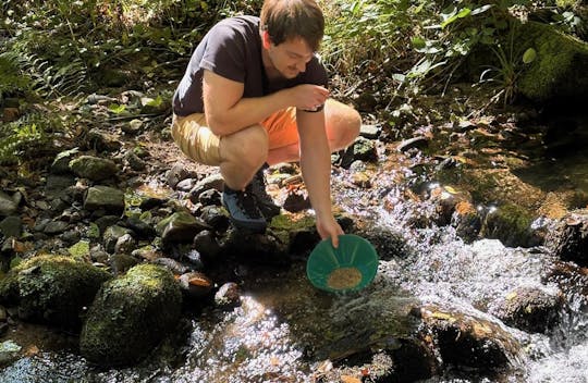 Aventura de lavado de oro en Mannheim