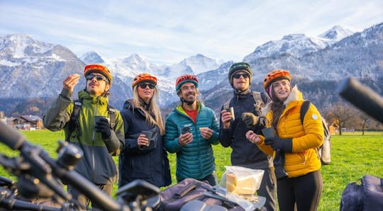 Excursión guiada en bicicleta eléctrica en invierno desde Wilderswil