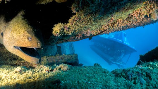 Excursión en submarino por Mauricio