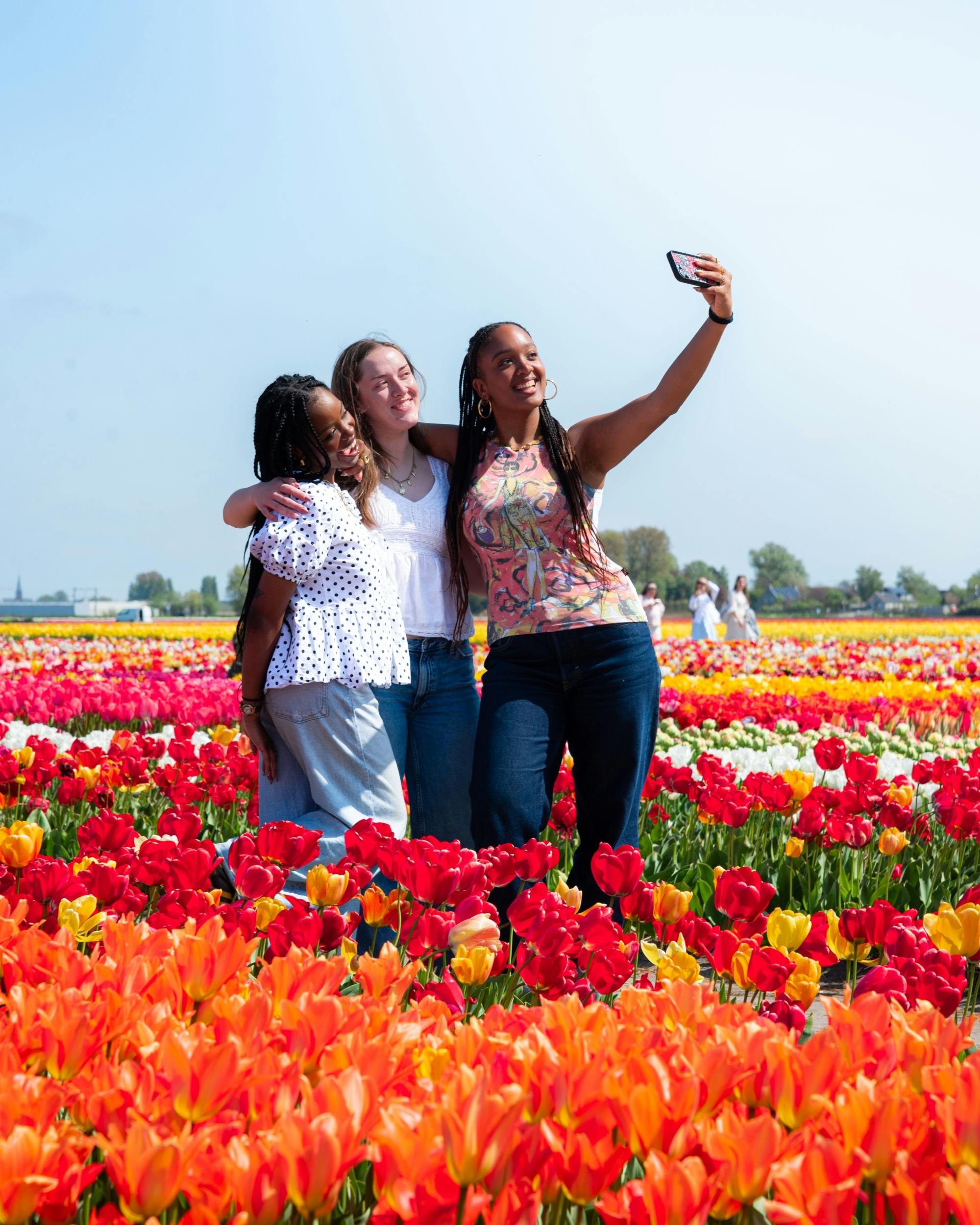 Tulip Experience Amsterdam z muzeum i ogrodem wystawowym tulipanów