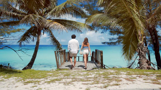 Ferry tickets to Bimini Bahamas economy or premium