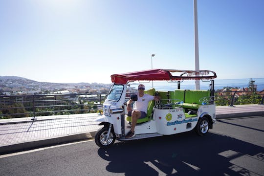 Costa Adeje ecologische tuk-tuk-tour