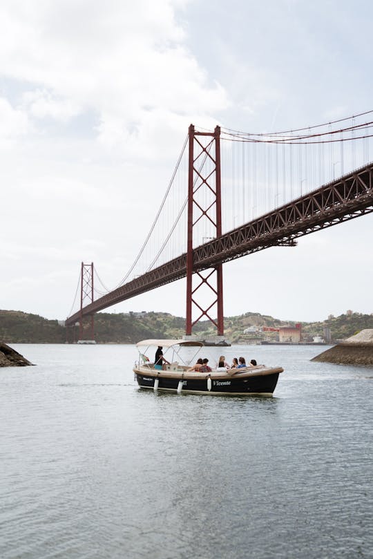 Pastel de nata, Bar und Delphine auf einer Bootsfahrt in Lissabon