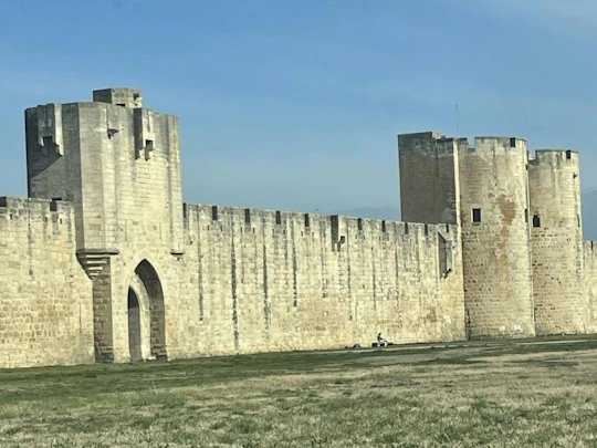 Sable de Camargue full-day minibus tour with lunch and tastings