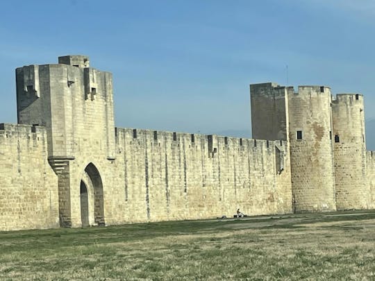 Sable de Camargue full-day minibus tour with lunch and tastings
