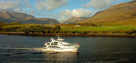 Connemara day trip from Dublin with Killary Fjord boat tour and Galway