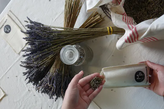 Lavender farm tour with workshop in Avignon