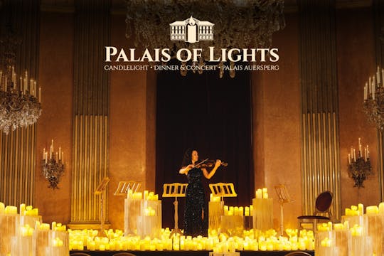 Palais of Lights bilety