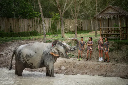 Feed Me experience at Elephant Jungle Sanctuary in Phuket