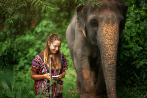 Feed Me experience at Elephant Jungle Sanctuary in Phuket