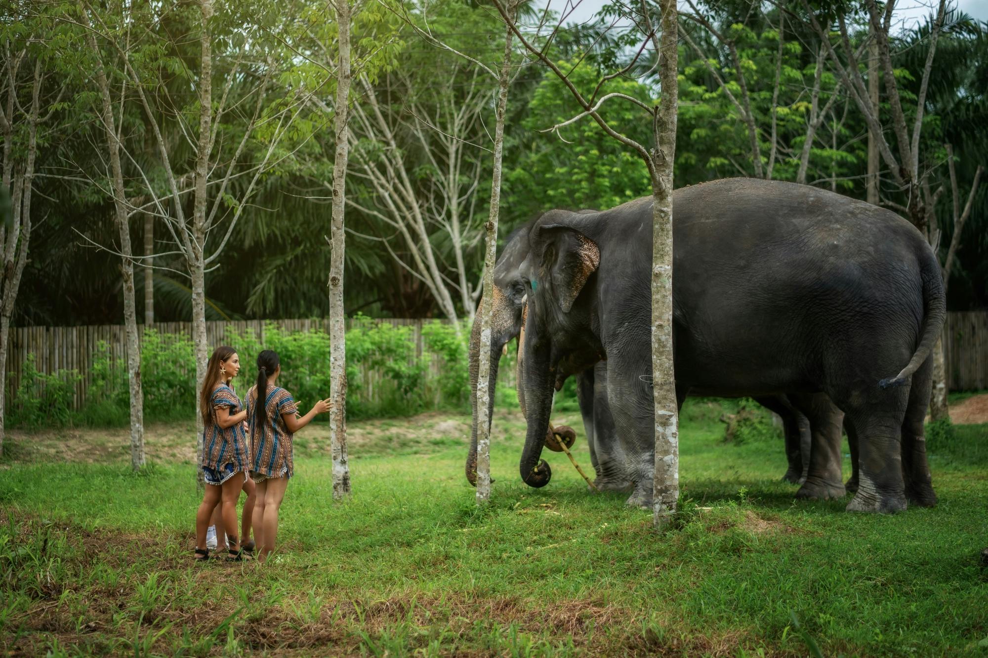 Feed Me experience at Elephant Jungle Sanctuary in Phuket