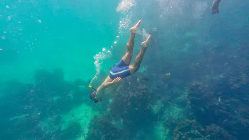 Anamuya buggy adventure with farm visit and catamaran cruise