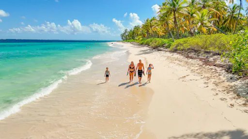 Dominican Republic zip-lining and catamaran cruise with lunch