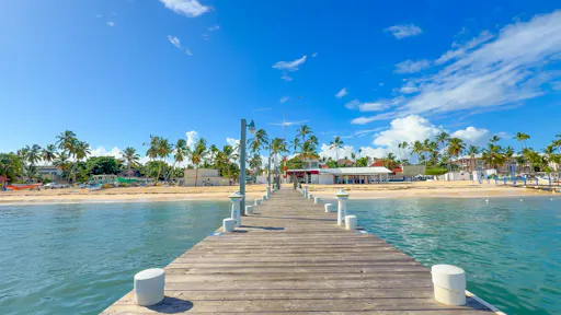 Anamuya buggy adventure with farm visit and catamaran cruise