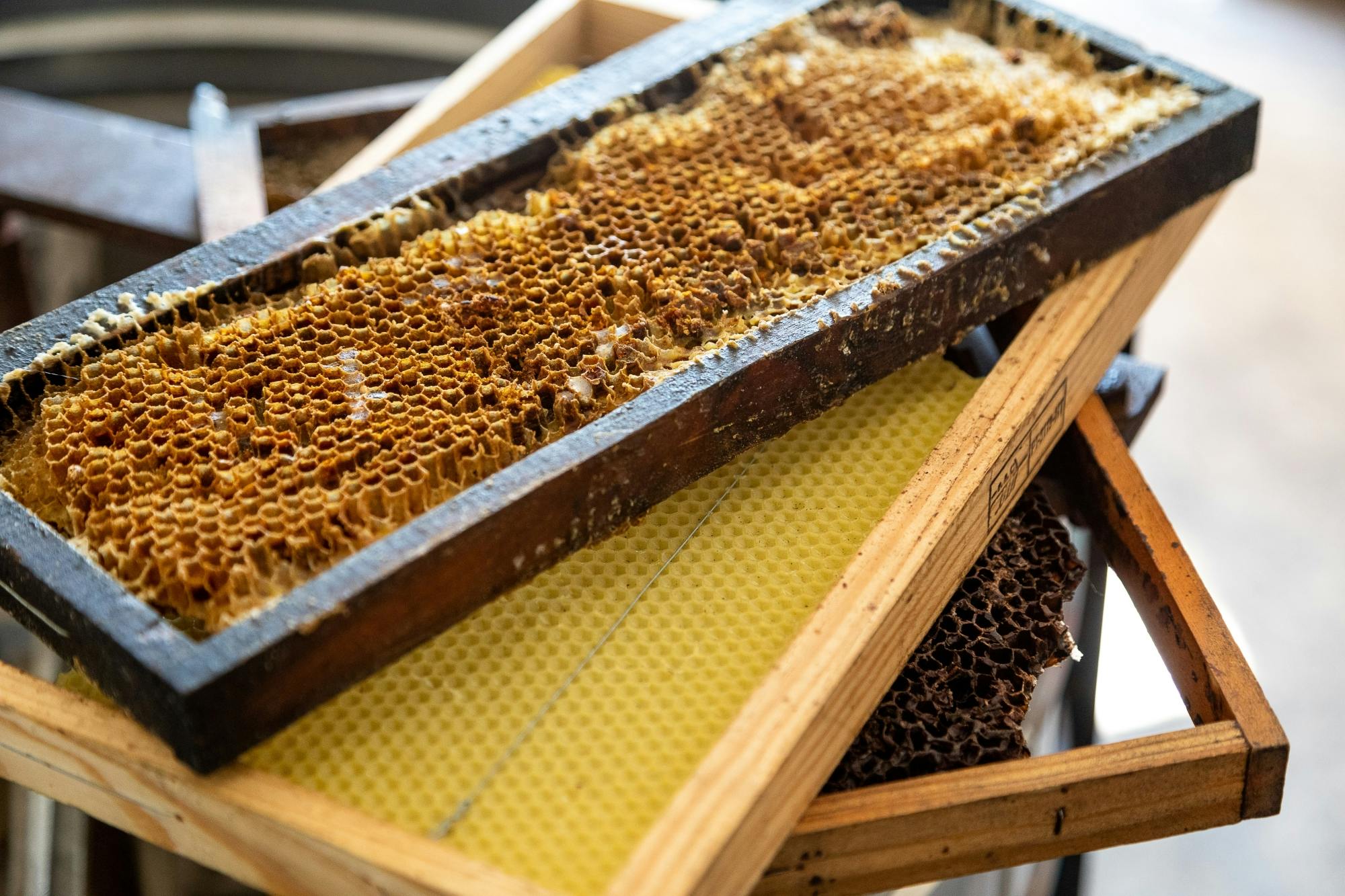 Algarve Villages 4x4 Safari Tour