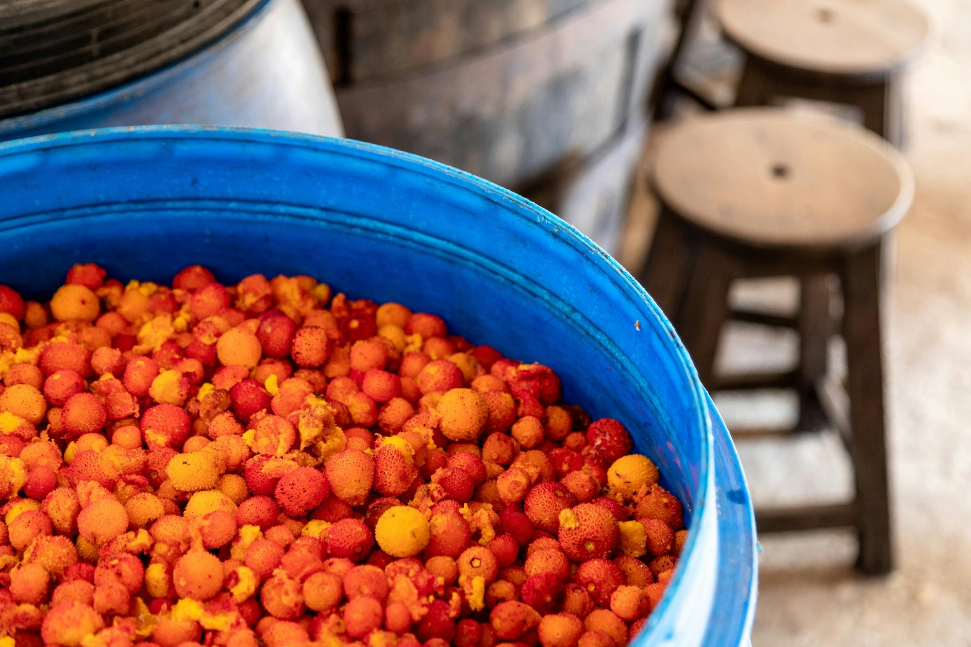 Algarve Villages 4x4 Safari Tour