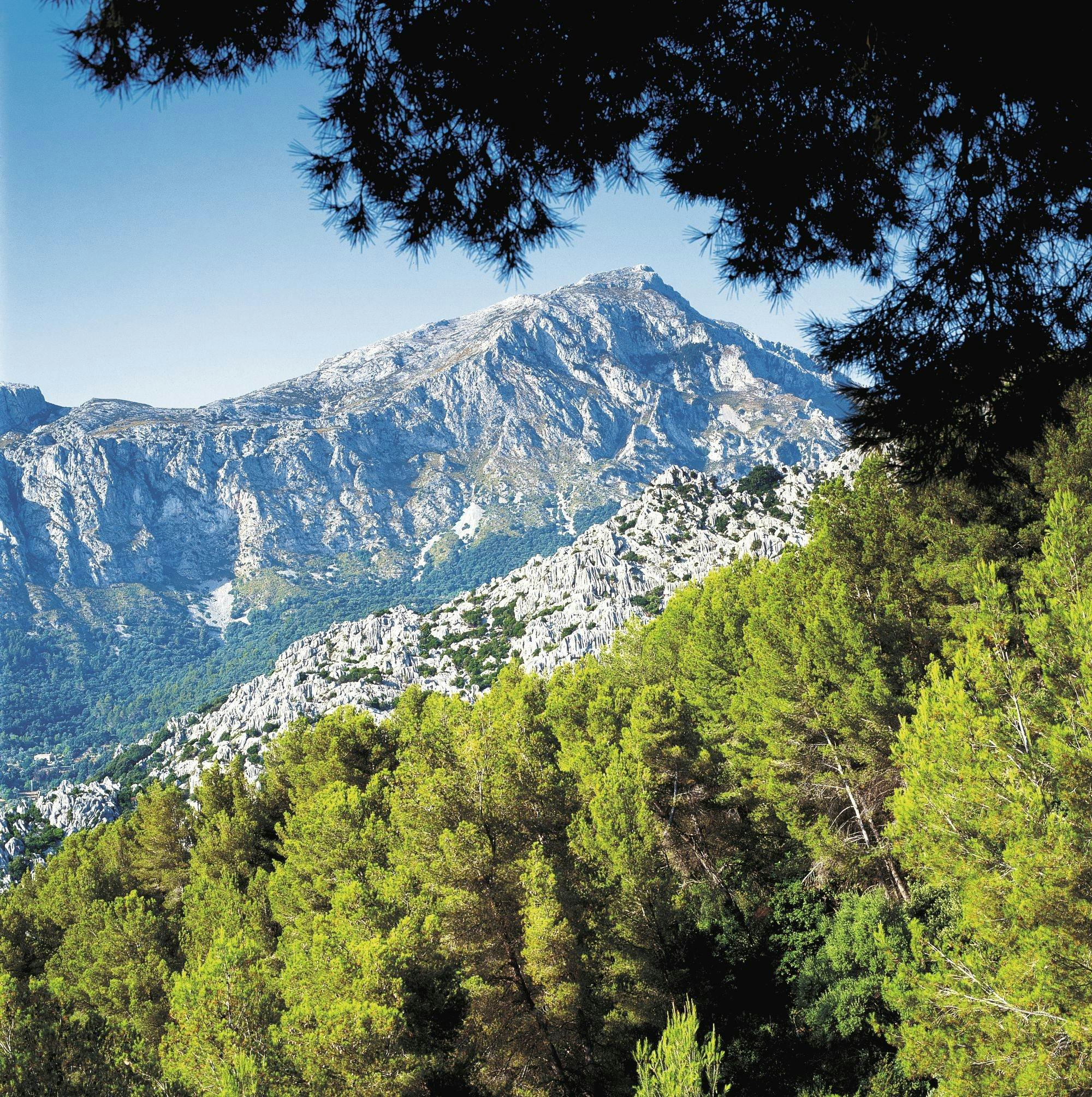 Valldemossa, Son Marroig and Soller tour with historic train ride