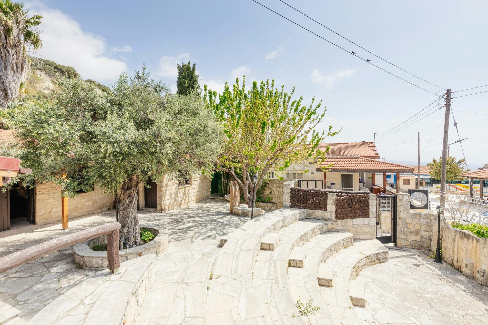 Half-day Troodos Mountains village tour with art museum visit