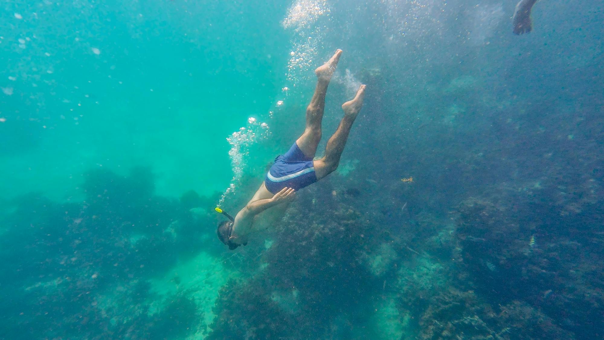 Dominican Republic zip-lining and catamaran cruise with lunch