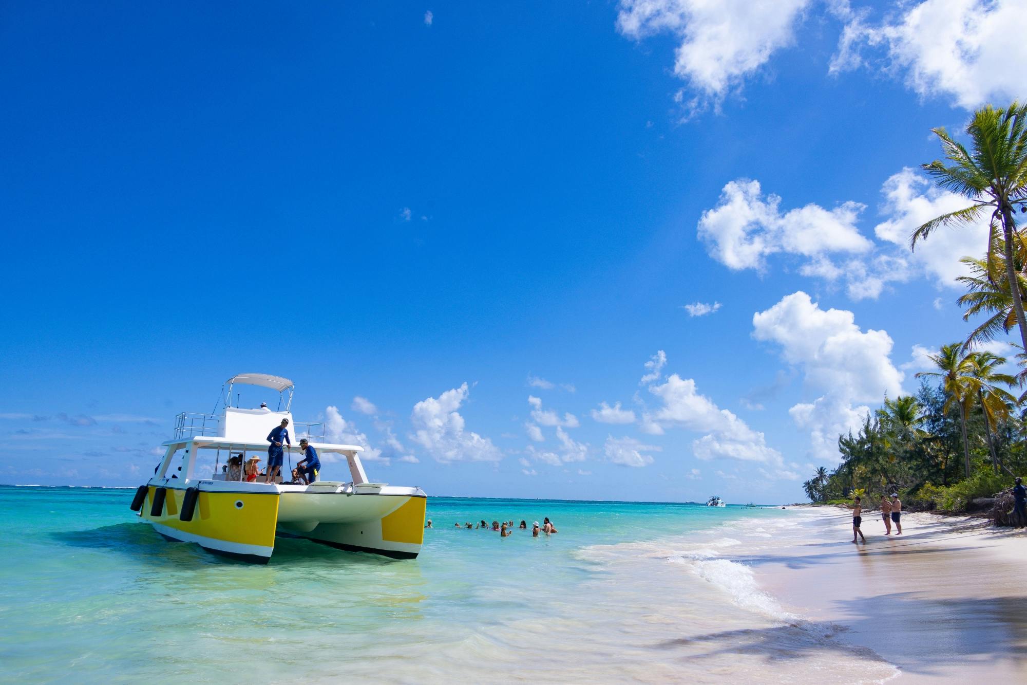 Dominican Republic zip-lining and catamaran cruise with lunch