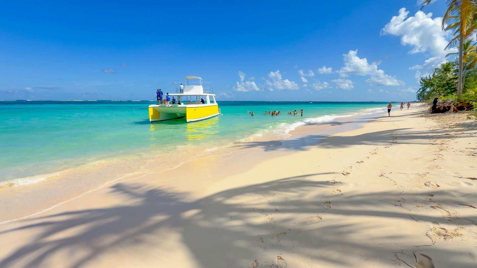 Punta Cana full-day tour with catamaran cruise and Monkeyland visit