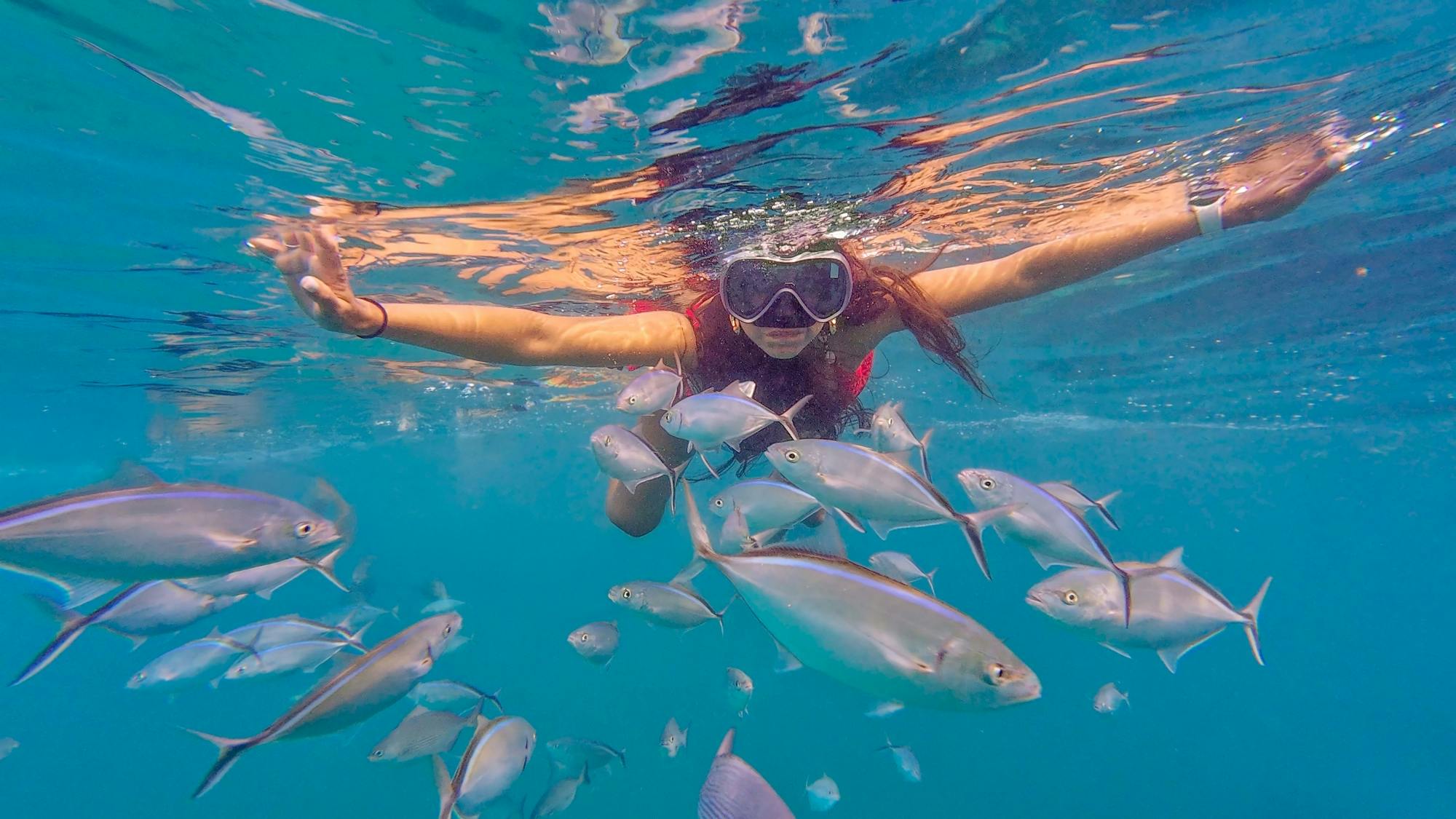 Punta Cana full-day tour with catamaran cruise and Monkeyland visit