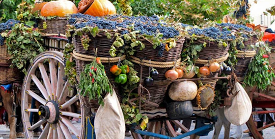 Commandaria wine full-day culinary tour from Limassol