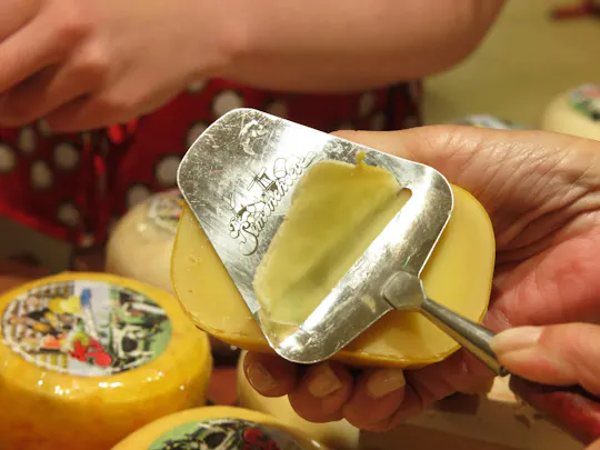 High-Cheese Tasting Experience and Guided Tour of a Traditional Farm