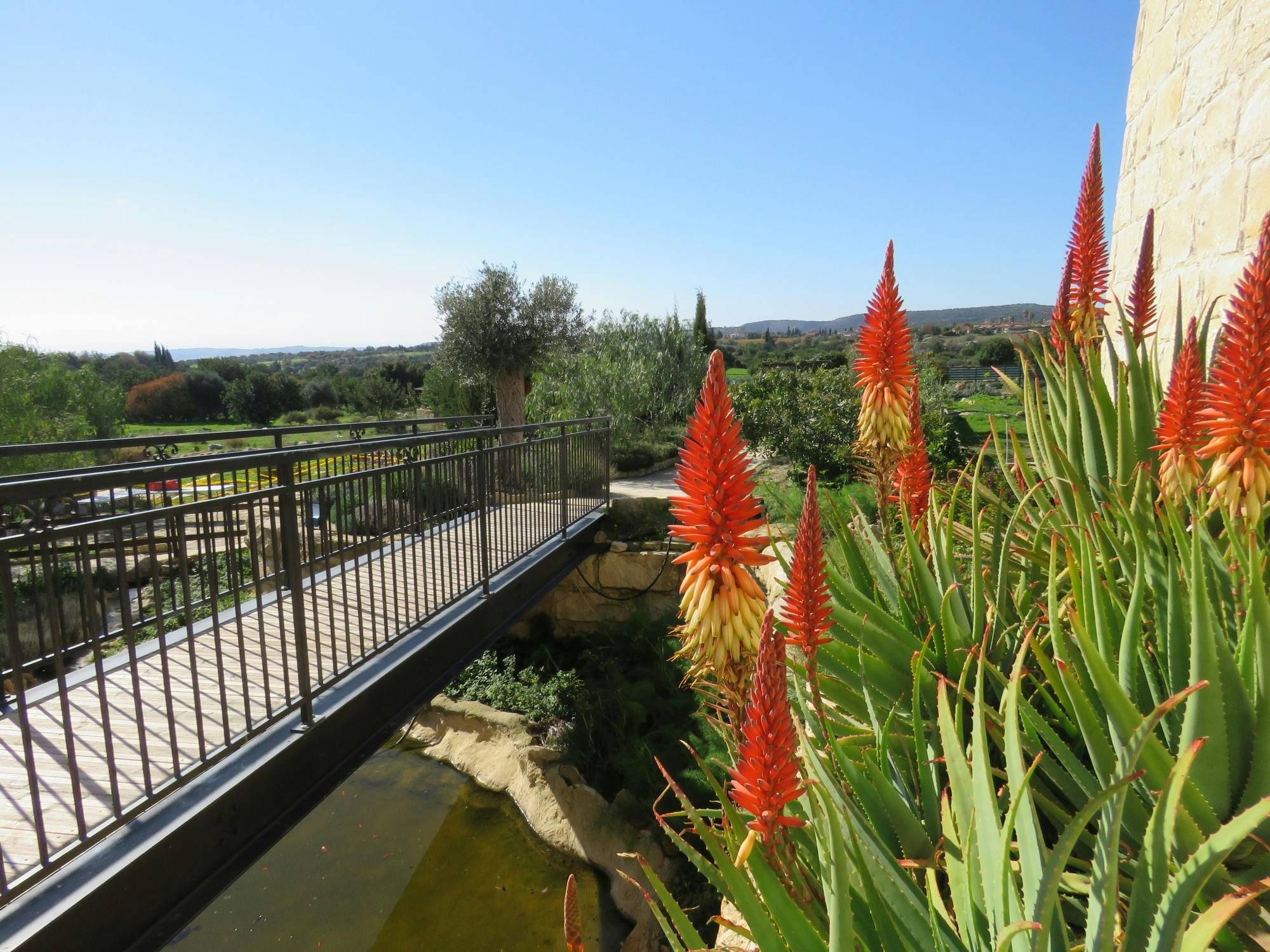 Besichtigung des Dorfes Anogyra mit traditioneller zyprischer Lebensmittelherstellung