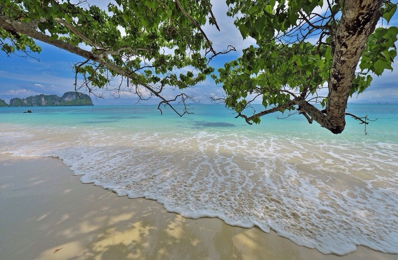 Full-day Phi Phi Islands speedboat tour with buffet lunch