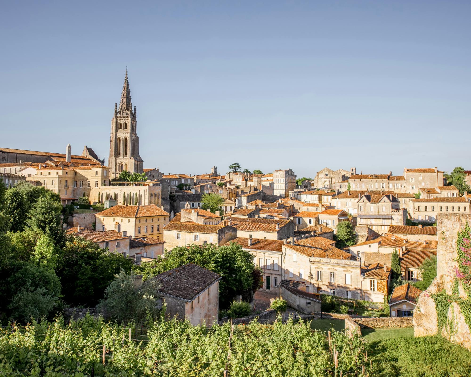 Visita a las bodegas y al pueblo medieval de Saint-Émilion