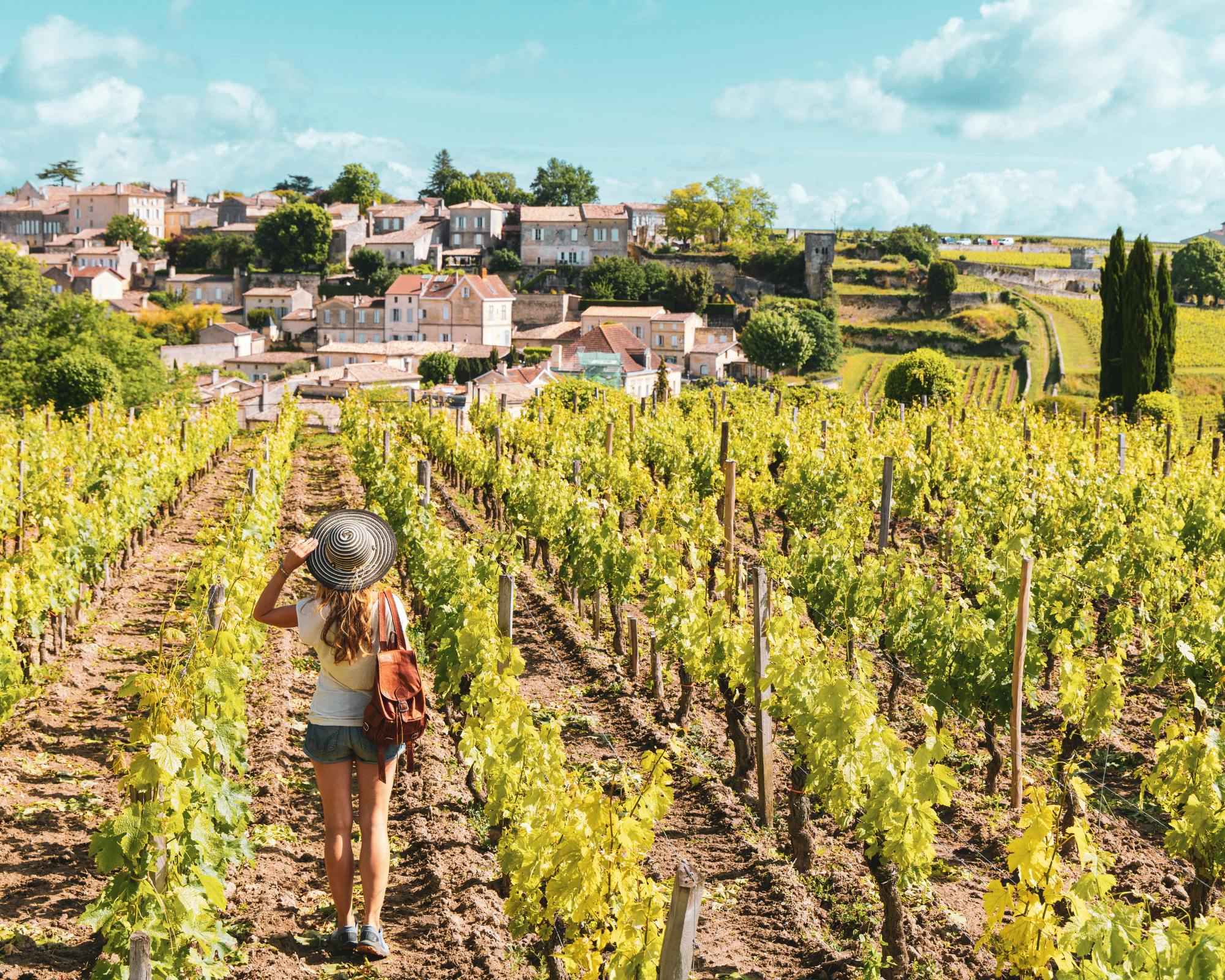 Saint-Émilion and Pomerol wine tour