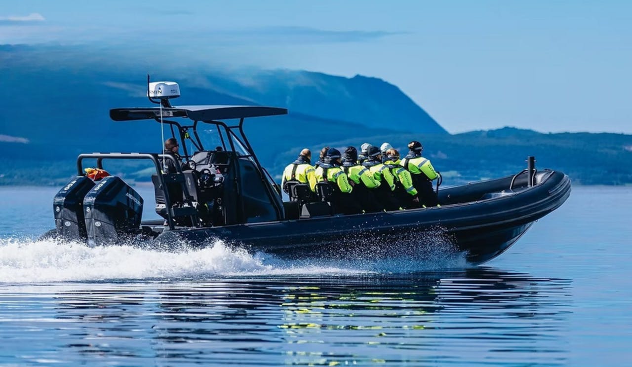 Mostraumen fjord safari tour in a premium RIB boat